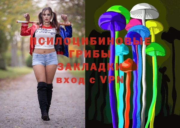 МДПВ Алексеевка