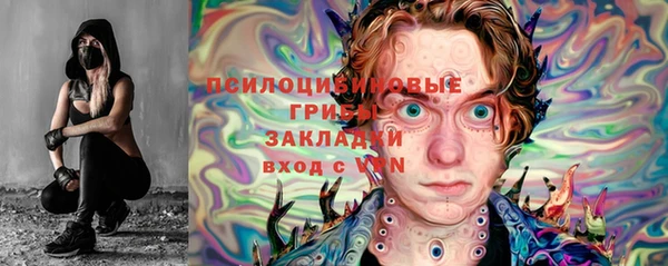 МДПВ Алексеевка