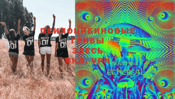 МДПВ Алексеевка