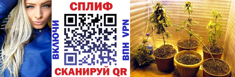 Канабис индика  Апатиты 
